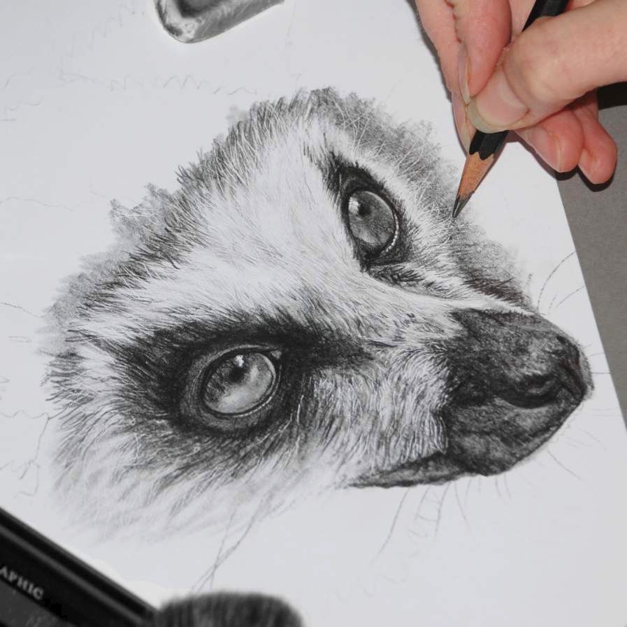 Pomeranian dog drawn in coloured pencils on Tan Ursus paper