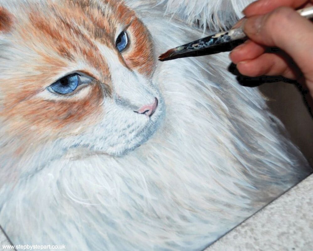 Ragdoll cat painted inacrylics on Ampersand Pastelbord