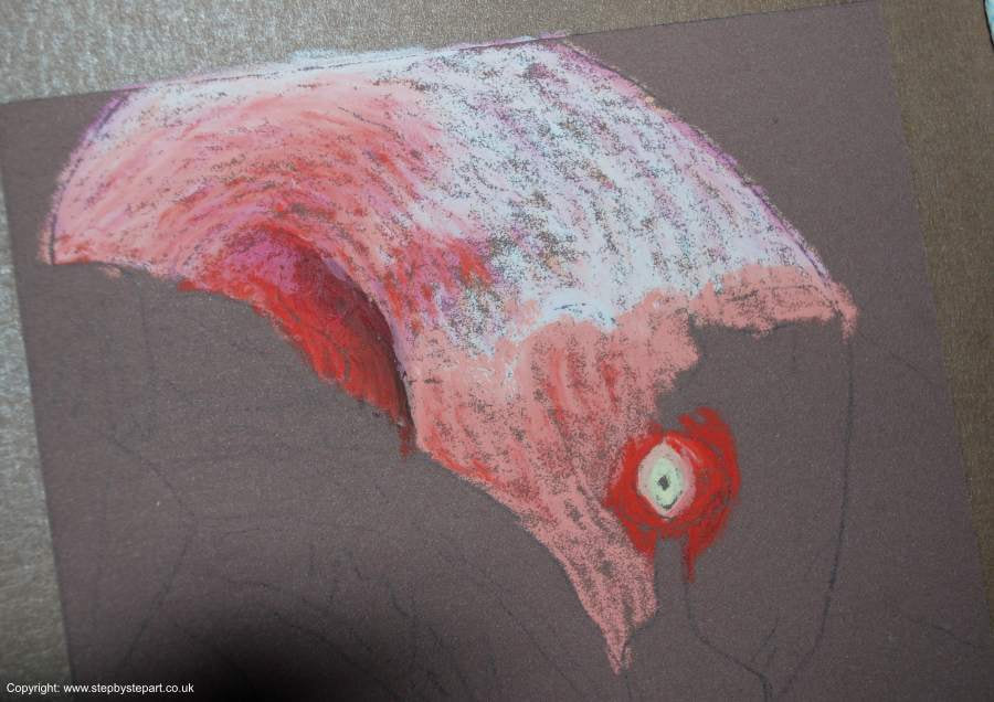 The start of a Pink Flamingo oil pastel drawing on Brown Pastelmat paper
