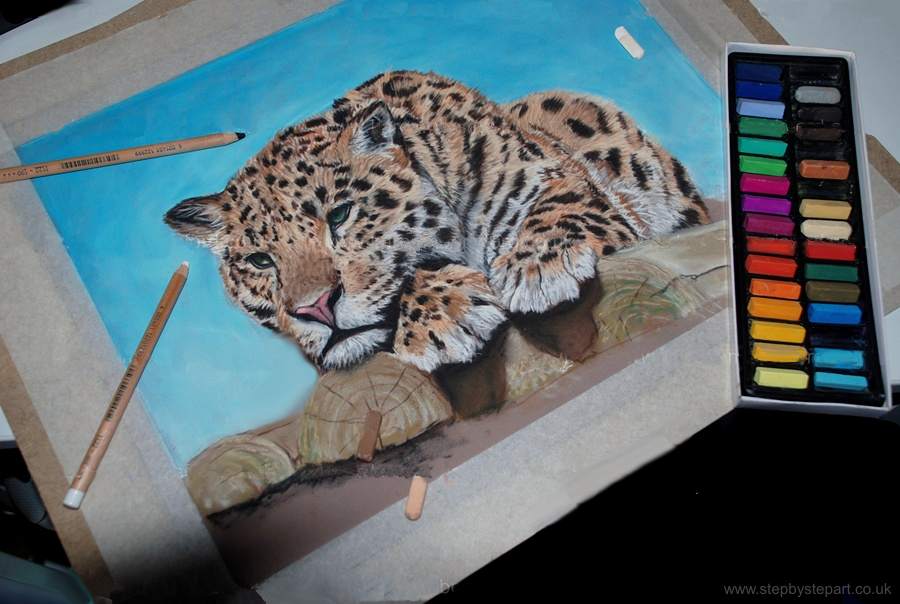 Jaguar from Chester Zoo created in Inscribe soft pastels