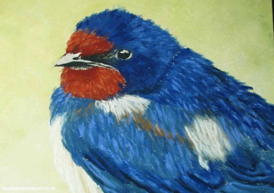 Swallow drawing using Unison soft pastels on Ampersand Pastelbord