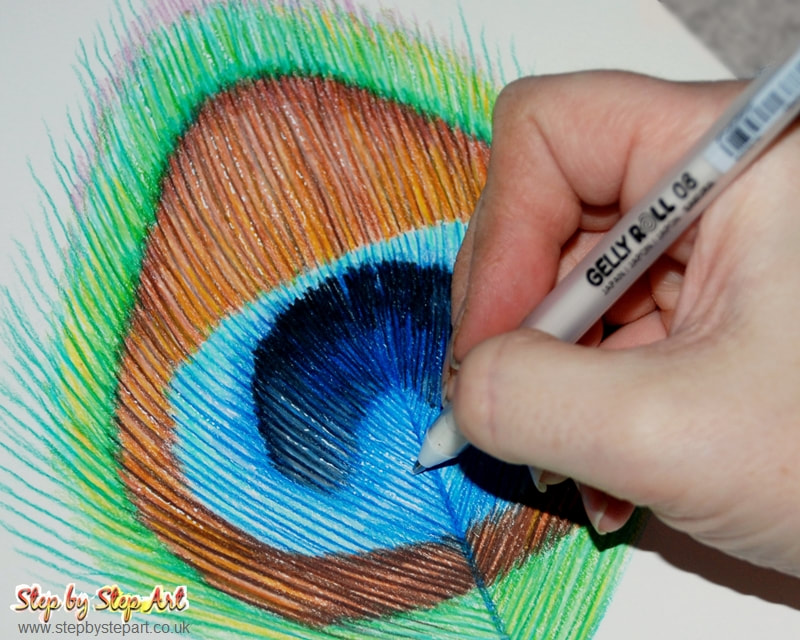 Peacock feather pencil drawing applying highlights with a Sakura Gelly roll 08 white pen