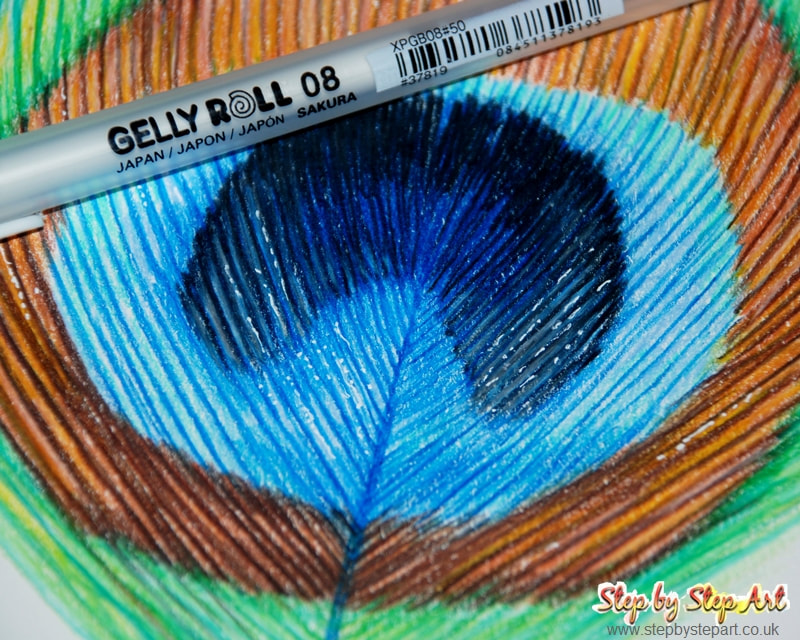 Coloured pencils peacock feather tutorial with Derwent Lightfast pencils and Sakura gelly roll white pen