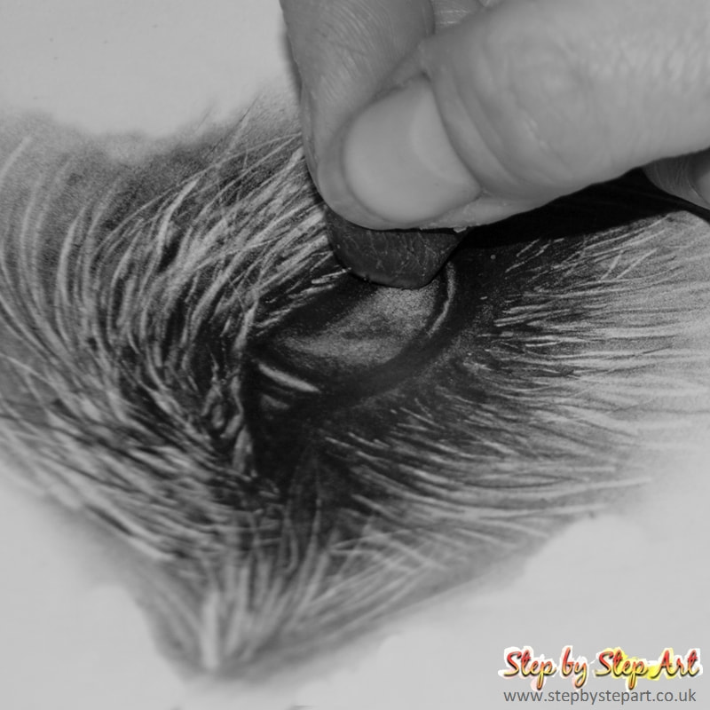 Erasing graphite pencil from a dogs eye drawing