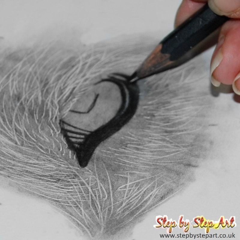 Drawing the dark outline of a dogs eye in graphite pencils