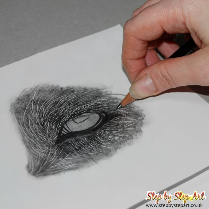 Applying a second base layer of 4B graphite pencil to a dogs eye drawing