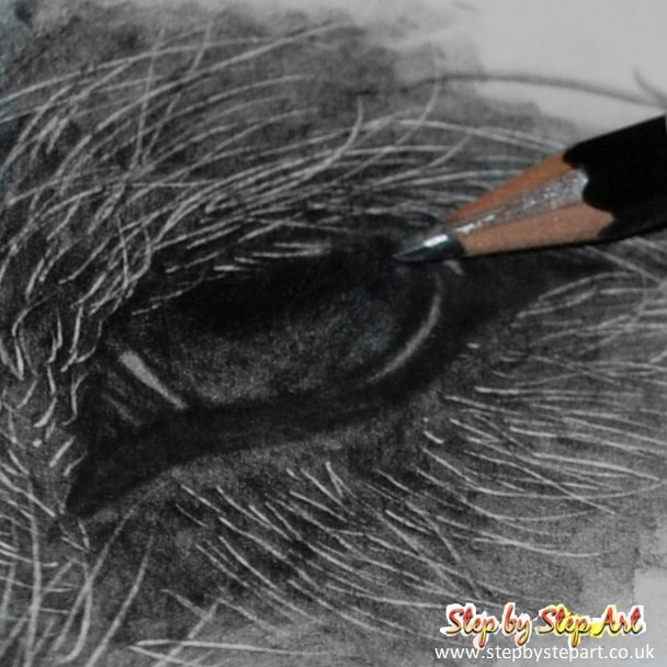 Applying shadows inside the eye of a graphite pencil drawing