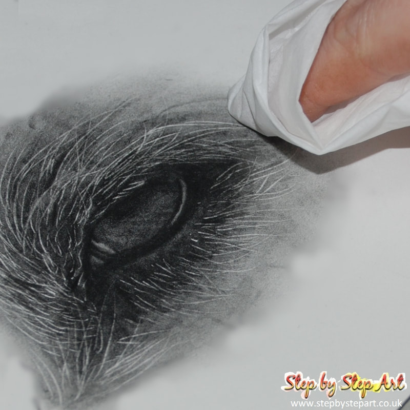 softening the edges of a graphite pencil drawing using a tissue