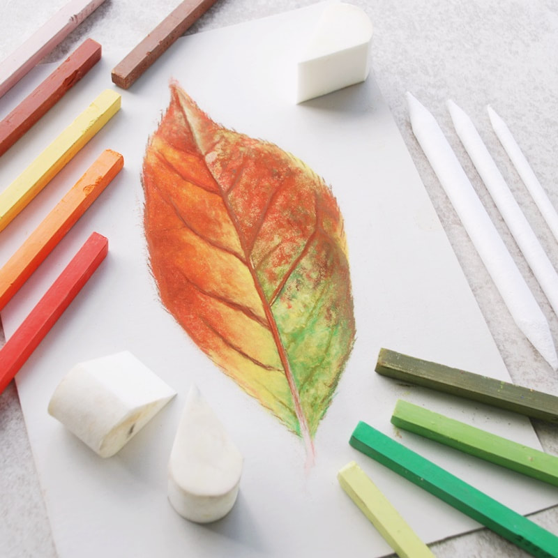 soft pastels drawing of an autumn leaf with Prismacolor NuPastels and tools