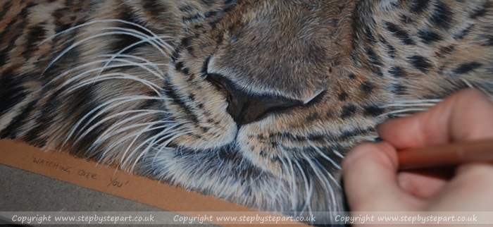 Amur Leopard Coloured pencil drawing on Ursus paper