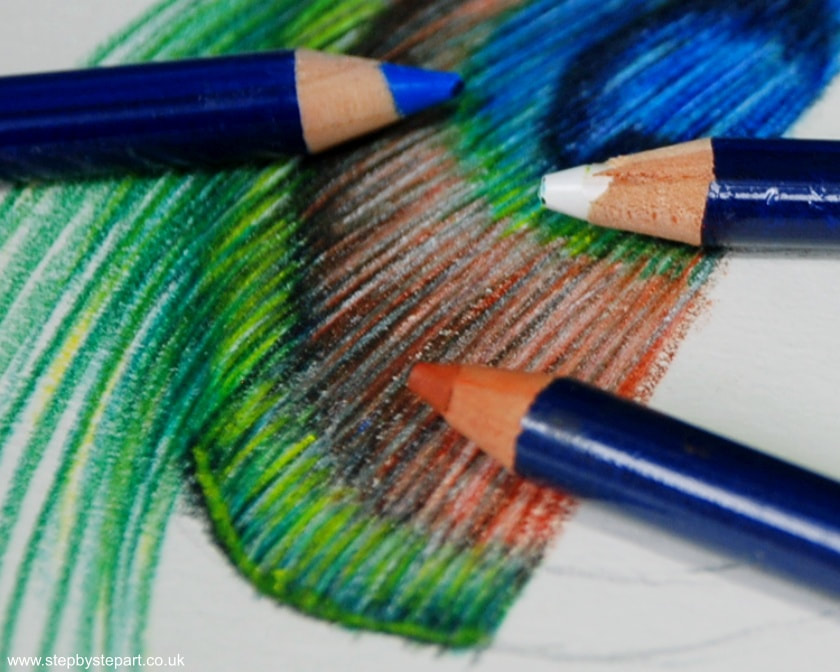Applications of dry pencil using the Derwent Inktense pencils