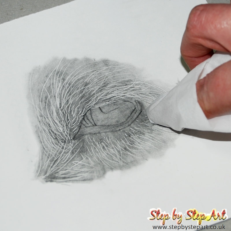 Blending a graphite pencil drawing using tissue