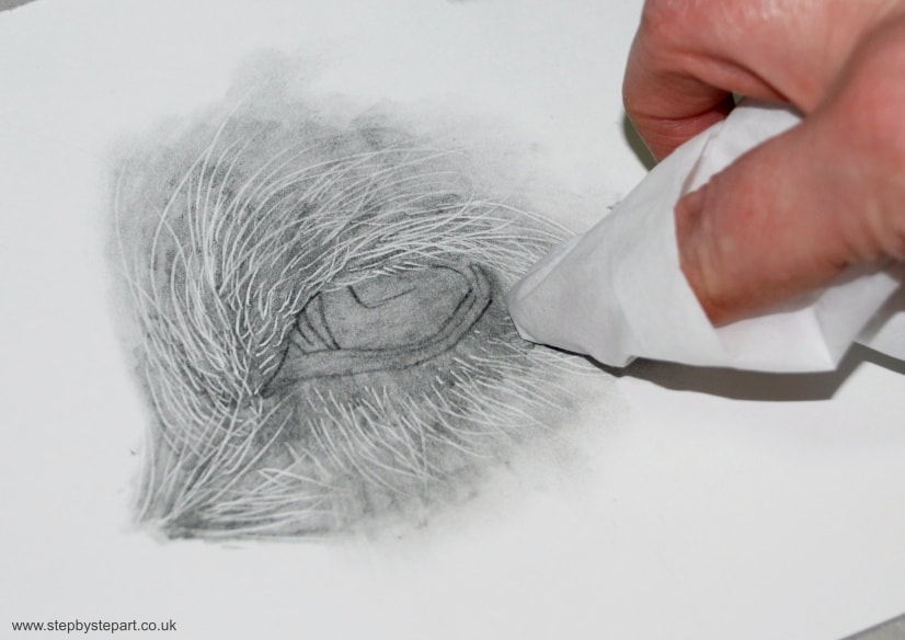 Blending graphite pencil with a tissue