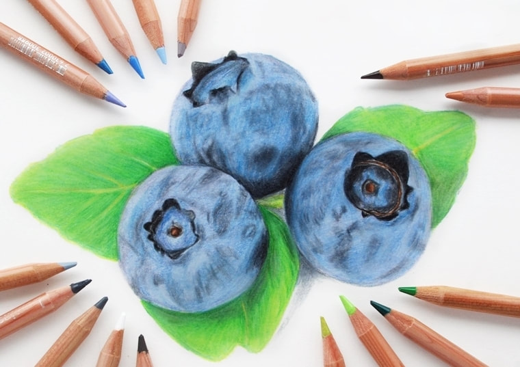 How to draw a detailed portrait of Blueberries in coloured pencils