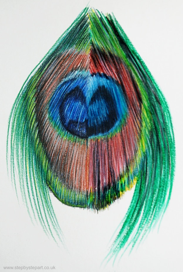 Peacock feather drawing using the Derwent Inktense pencils