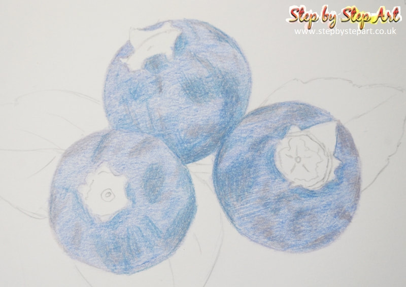 Blueberries coloured pencil drawing base layer