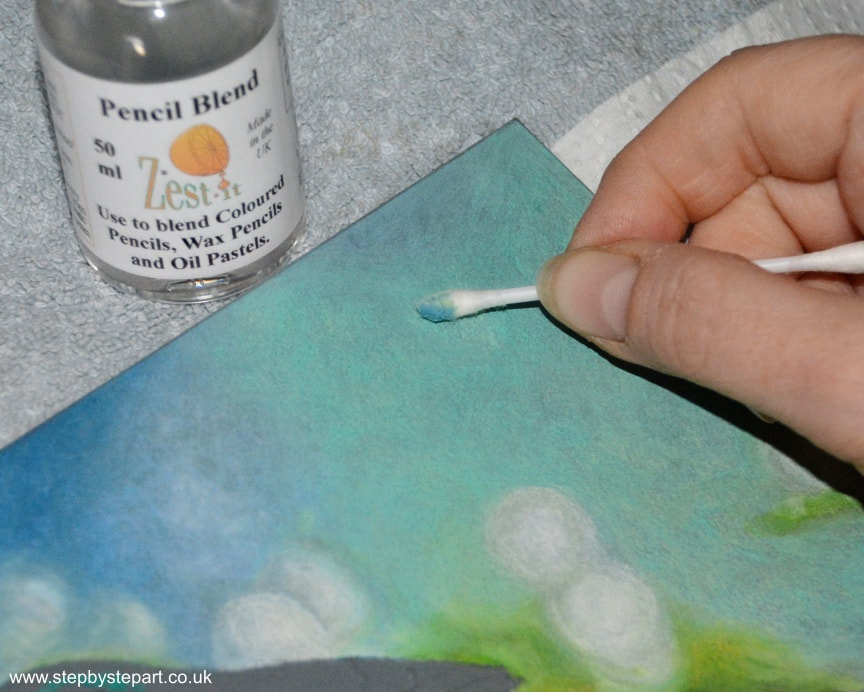 Blending coloured pencils and Zest-it pencil blend on Ampersand Pastelbord using a cotton bud