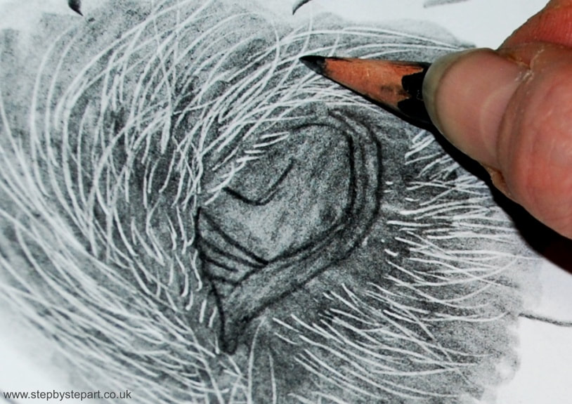 Layering on a graphite pencil drawing