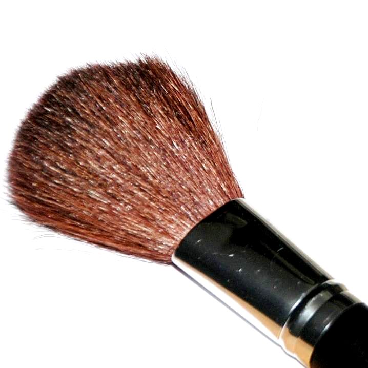Blusher make up brush