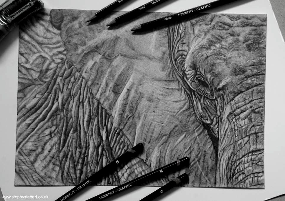 African Elephant created with Derwent graphic pencils