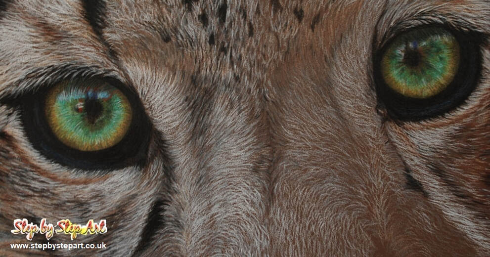 Snow Leopard eyes created in Coloured pencils on Canson Mi-tientes touch paper 'Tobacco'
