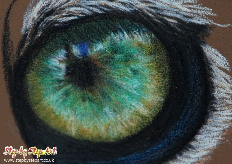 Snow leopard eye in progress drawn with coloured pencils on canson mi-tientes touch paper