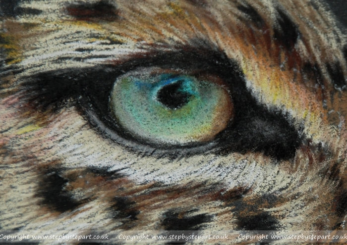 Coloured pencil pet portrait of an airedale terrier on Legion stonehenge paper