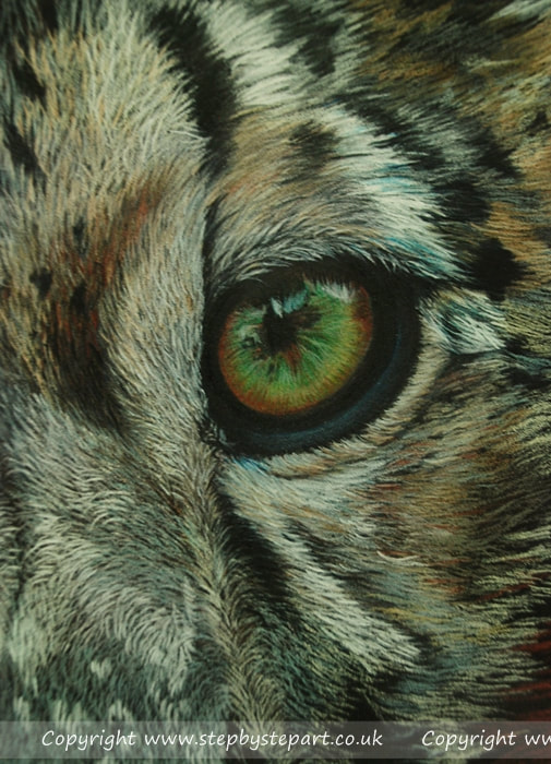 Snow leopard eye in coloured pencils on Colourfix Deep Black paper