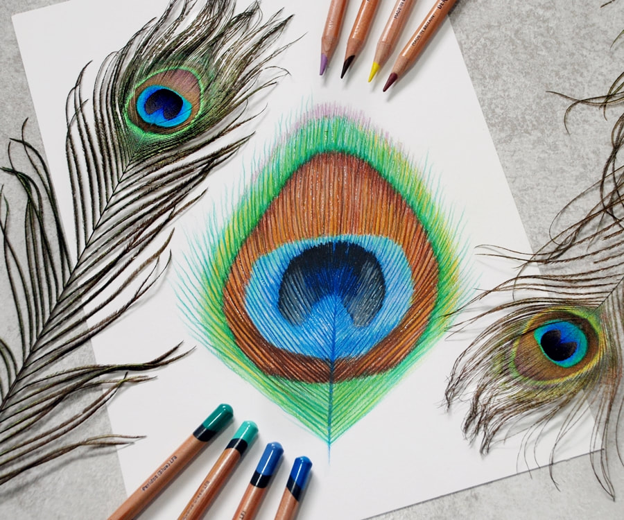 How to Blend Coloured Pencils: Tutorial for Artists