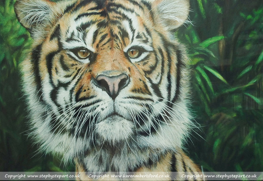 Sumatran Tiger in coloured pencils on white colourfix paper