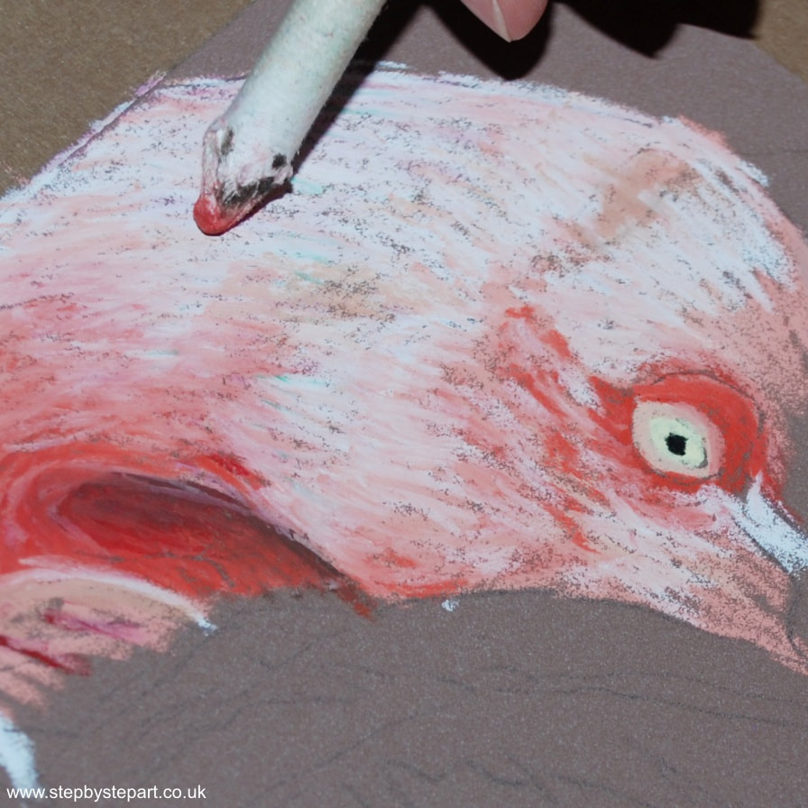 Blending with a paper stump on a Pink Flamingo oil pastel painting using Sennelier oil pastels on Pastelmat