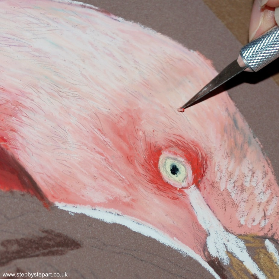 Inscribing detail with a craft knife on a Pink Flamingo oil pastel painting using Sennelier oil pastels on Pastelmat