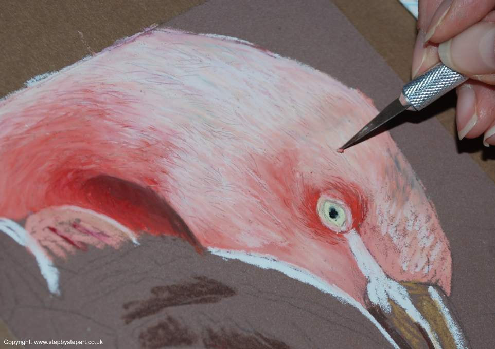 Lifting oil pastel from Brown Pastelmat paper on a Pink Flamingo drawing