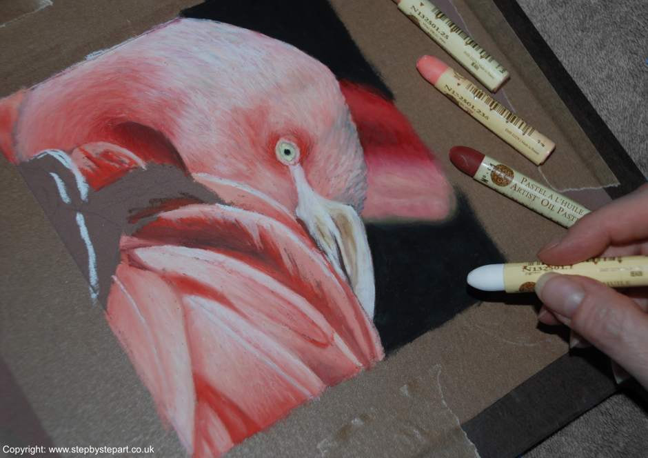 Blending the oil pastels together on a Pink Flamingo drawing - created on Brown Pastelmat paper