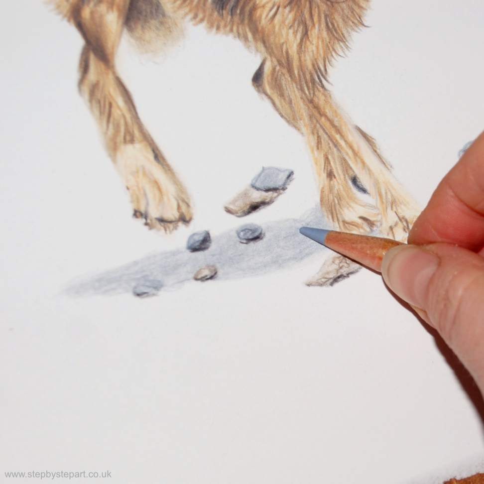 Building up the ground surface on a coloured pencil drawing of a Hare