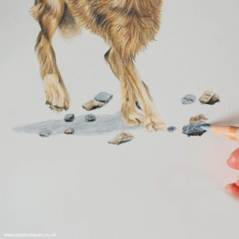 Adding the pebbles to a coloured pencil drawing of a Hare