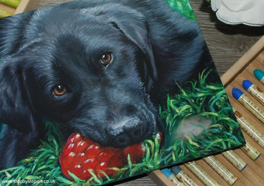Oil pastel painting of a black labrador dog called Haze and Sennelier oil pastels in wooden drawers