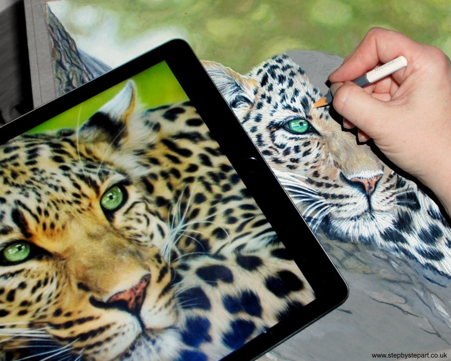 Using an iPad in art. Leopard image and coloured pencil drawing