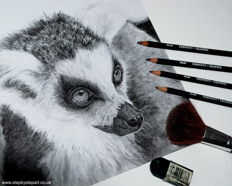 Graphite pencil drawing of a Black & White Lemur for an art workshop