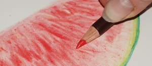 drawing a watermelon using derwent colourfix pencils