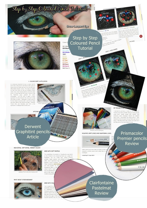 Snow Leopard eye tutorial and art products article ad