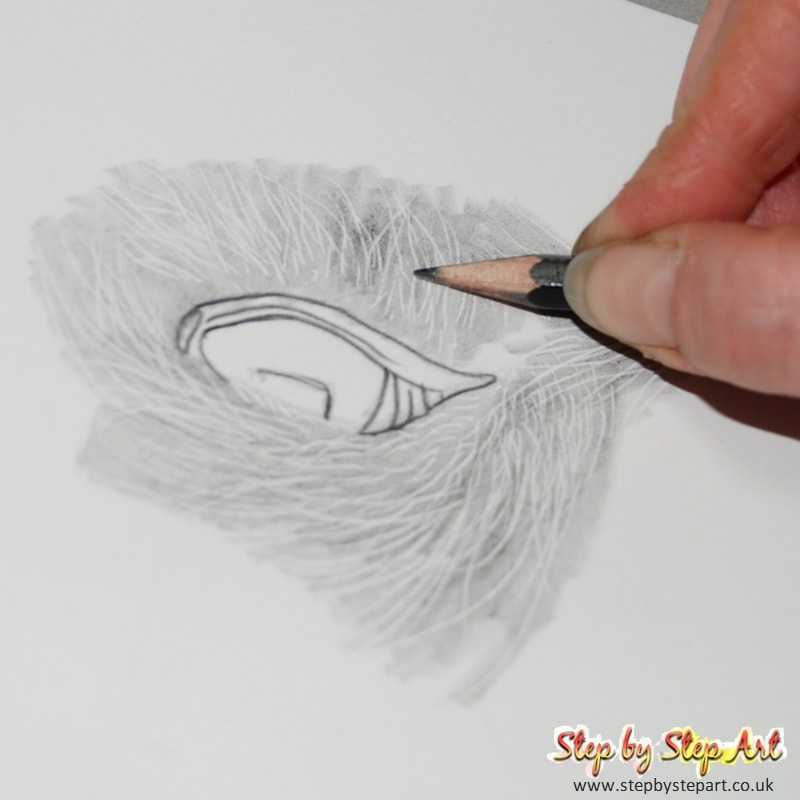 Applying a base layer of 2B to an eye drawing tutorial