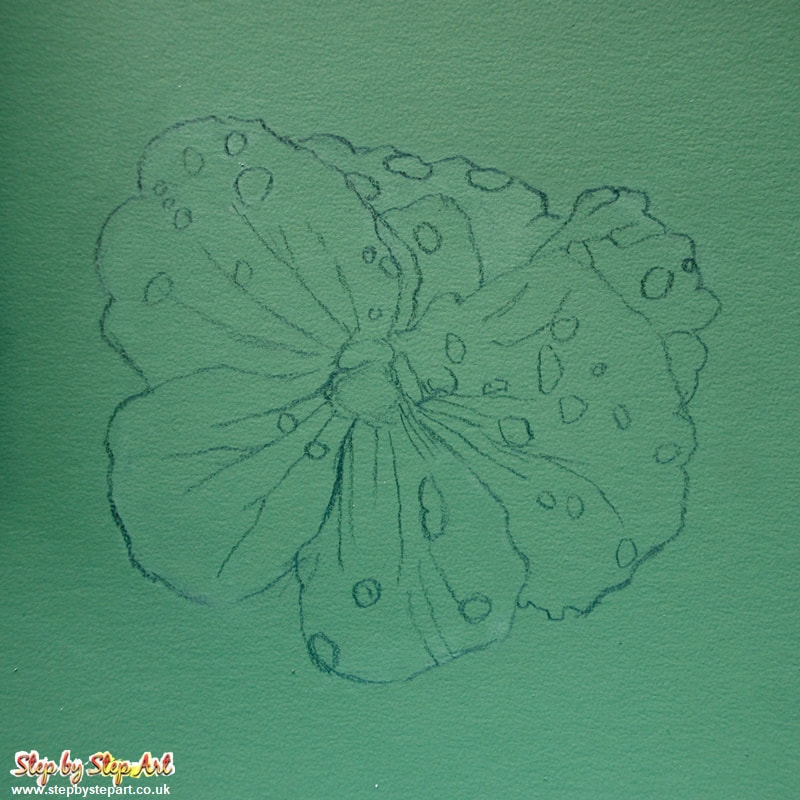 outline of a violet flower drawing on dark green colourfix smooth