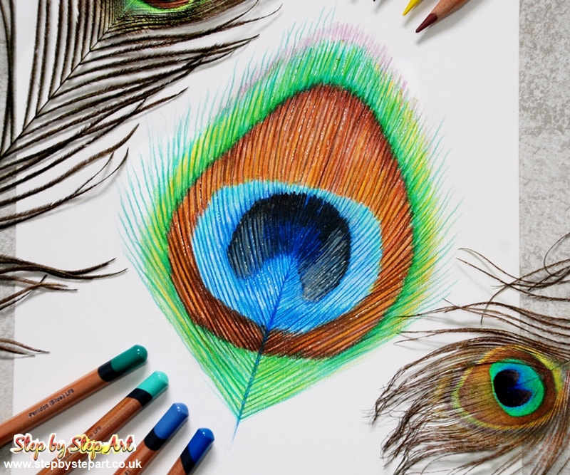 Peacock feather drawn in Derwent Lightfast coloured pencils