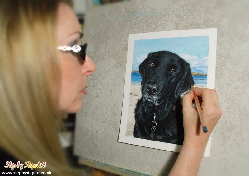 Karen M Berisford working on a coloured pencil drawing of a Black Labrador x retriever