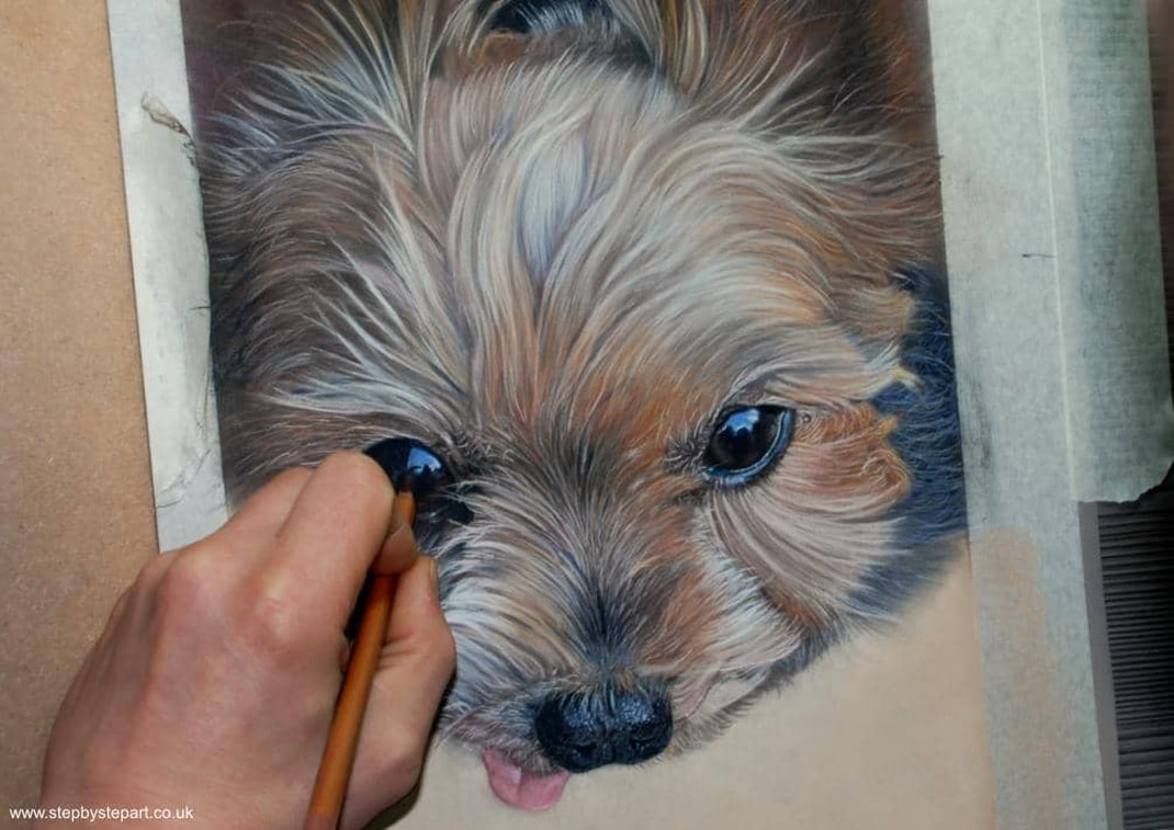 progress of a Yorkshire Terrier on Clairfontaine Pastelmat