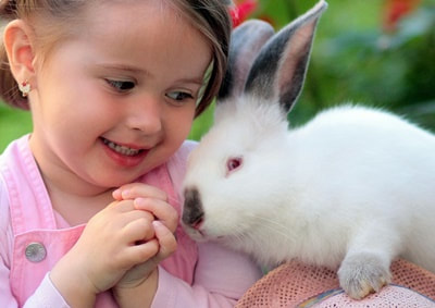 Photo of little girl with bunny rabbit