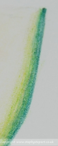 Green rind of a watermelon coloured pencil tutorial
