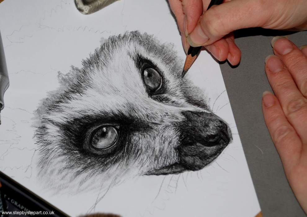 Ring tailed Lemur graphite pencil portrait using Derwent graphic pencils