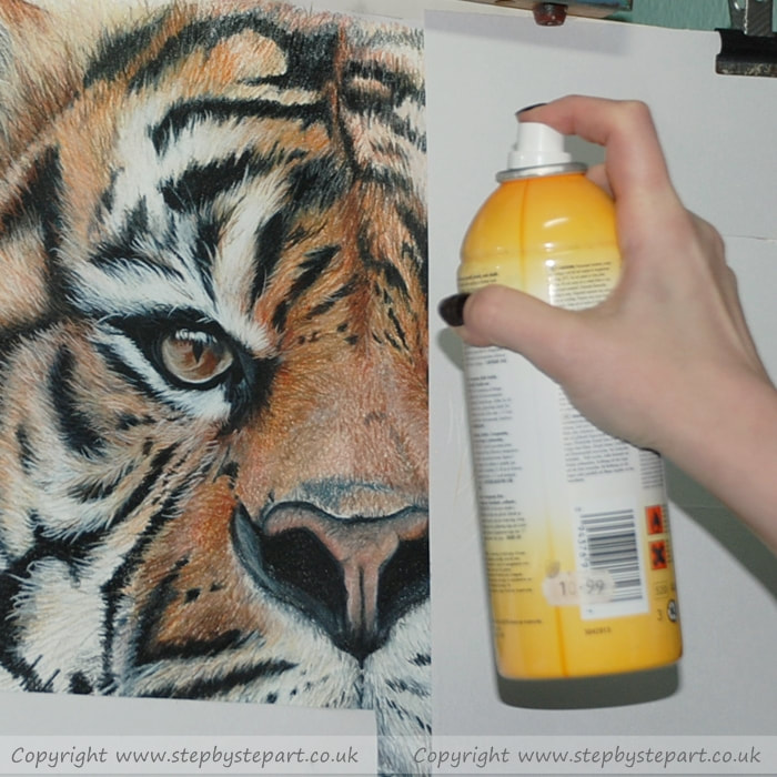 Protecting a Coloured pencil drawing with Winsor & Newton fixative spray